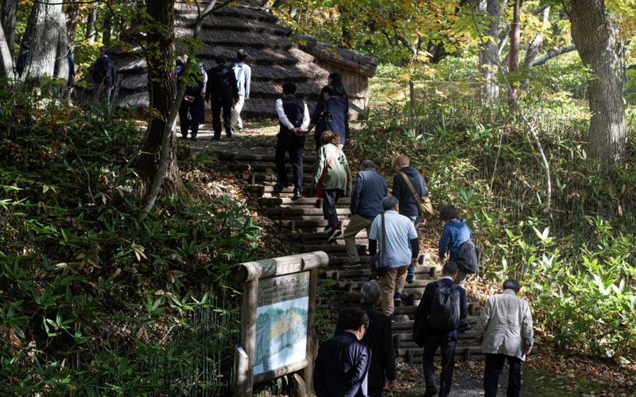 visitors walking in the forest.