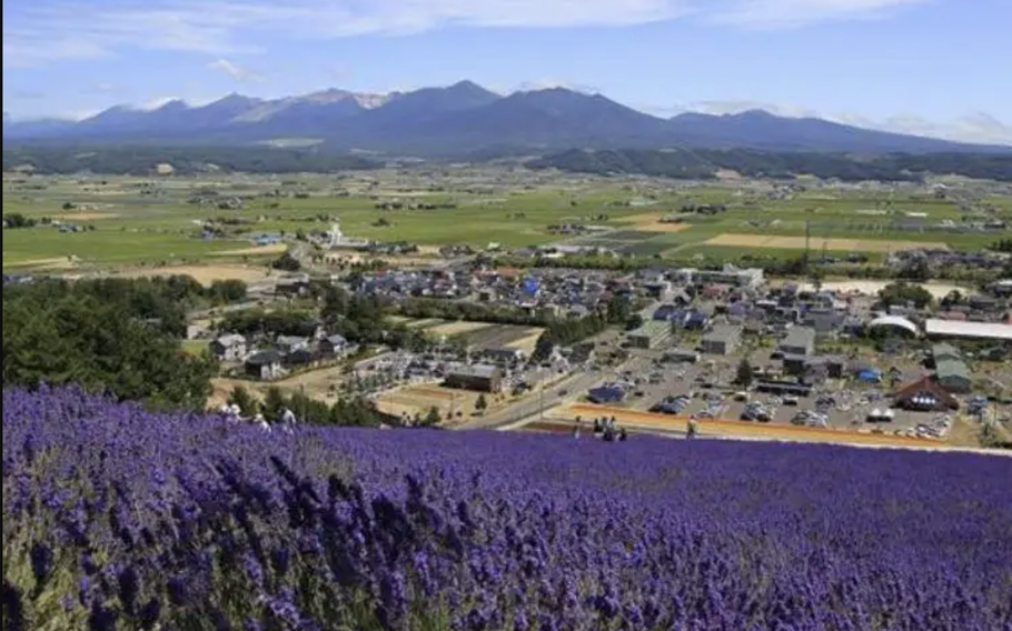 After a 5 minute ride to the top, a magnificent view is waiting for you at the observation area!