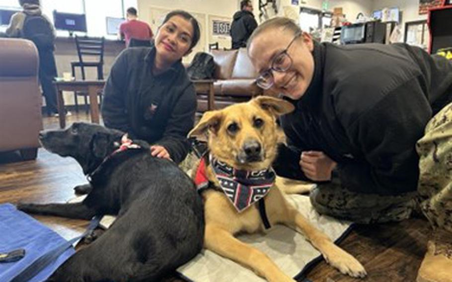 Penny and Rookie enjoy bringing joy and stress relief to service members each week.