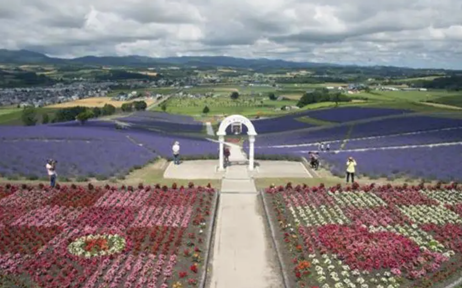 Past the observation deck surrounded by flowers is the view of the Furano flower fields and Furano basin beyond