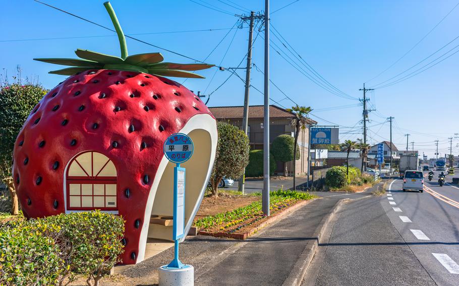 kyushu, japan - december 10 2021: Traffic on the Highway 207 of the Tokimeki Fruit-shaped Avenue in front of a creative bus stop designed as a giant red strawberry fruit with a surface showing achenes