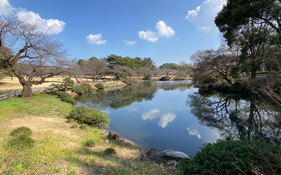 A pond can be seen in Shinjuku Gyoen Garden.