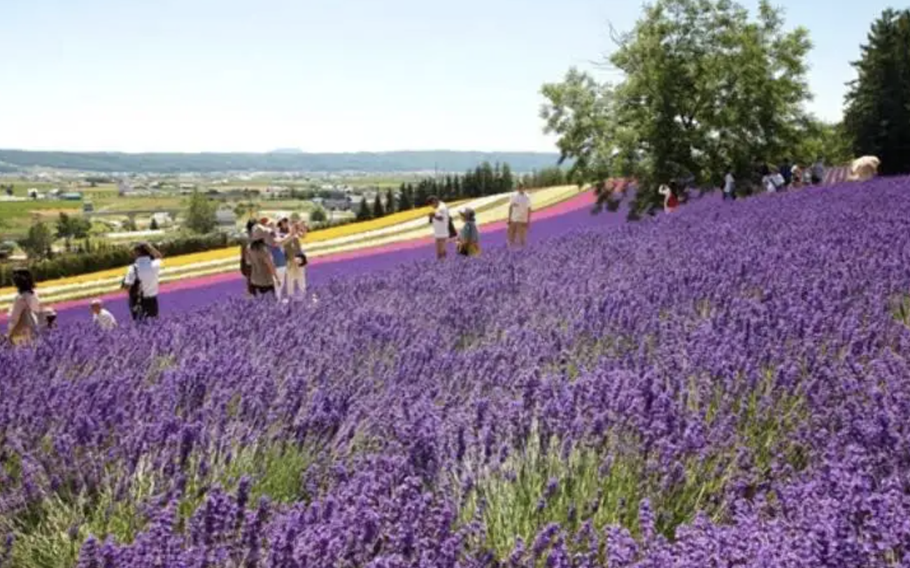 Many visitors during the peak season.