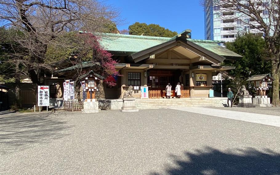 front photo of Togo Jinja.