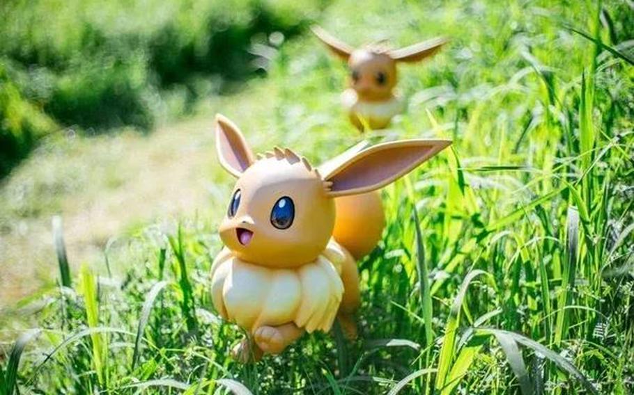 Two pokemons on the grass.