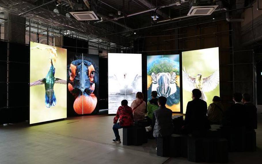 Museum