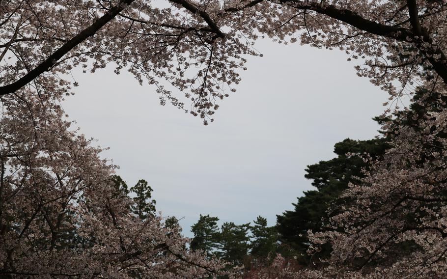 Hirosaki Park in Hirosaki City