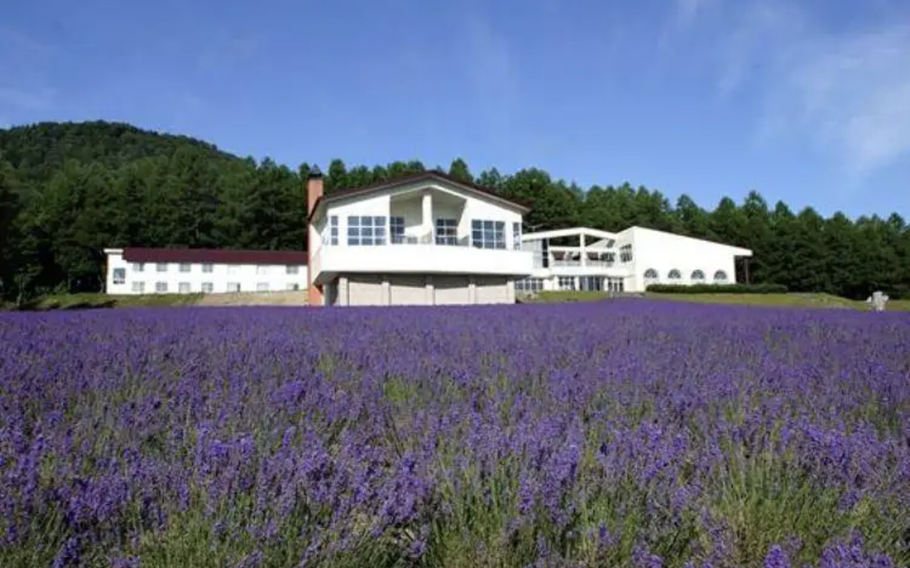 The Sea of Lavender in front of the hot spring lodging facility.