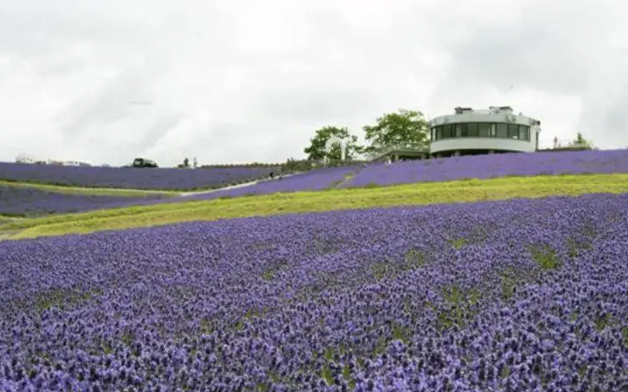 We recommend the view from the observation deck located on the hilltop above!