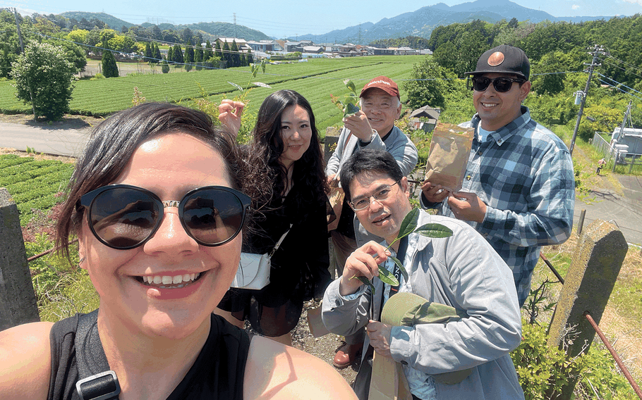 Yamataka Sakurai Seicha Tea Farm