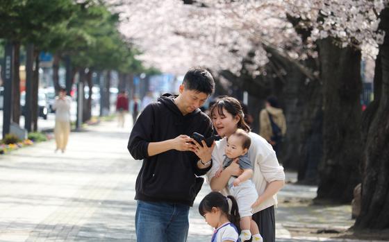 a family and chery blosssoms.