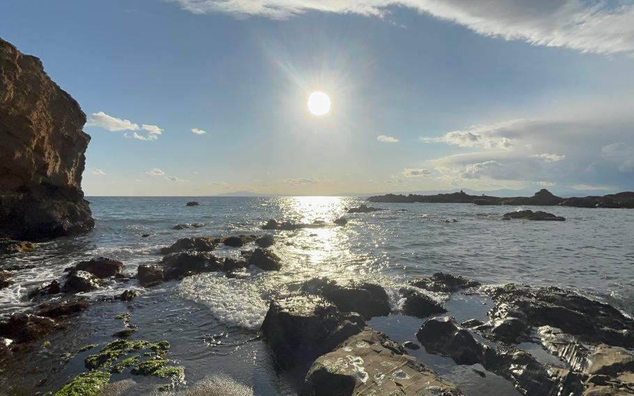 the beach in the park.