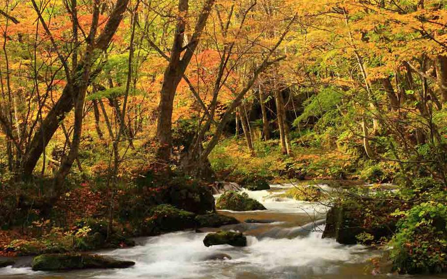 Aomori Oirase Gorge