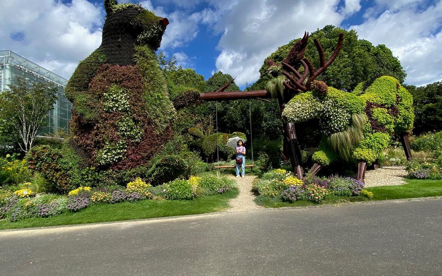 Hamamatsu Flower Park