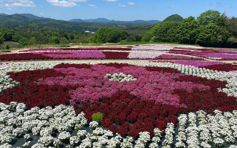 Flower Village Kamu no Sato