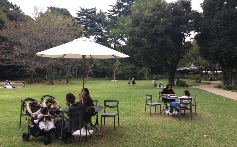 Visitors enjoying themselves in the garden of the museum.