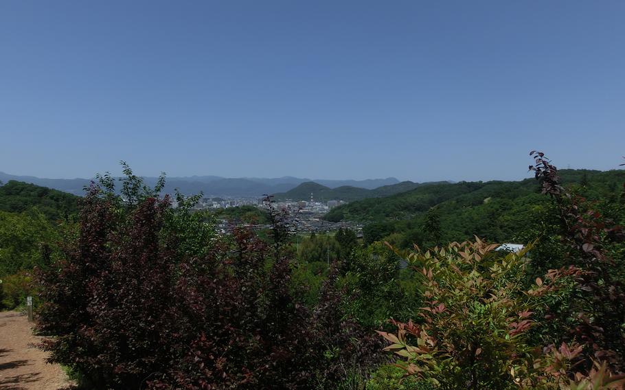 Scenery from the park. Many trees with green leaves, but no flowers.