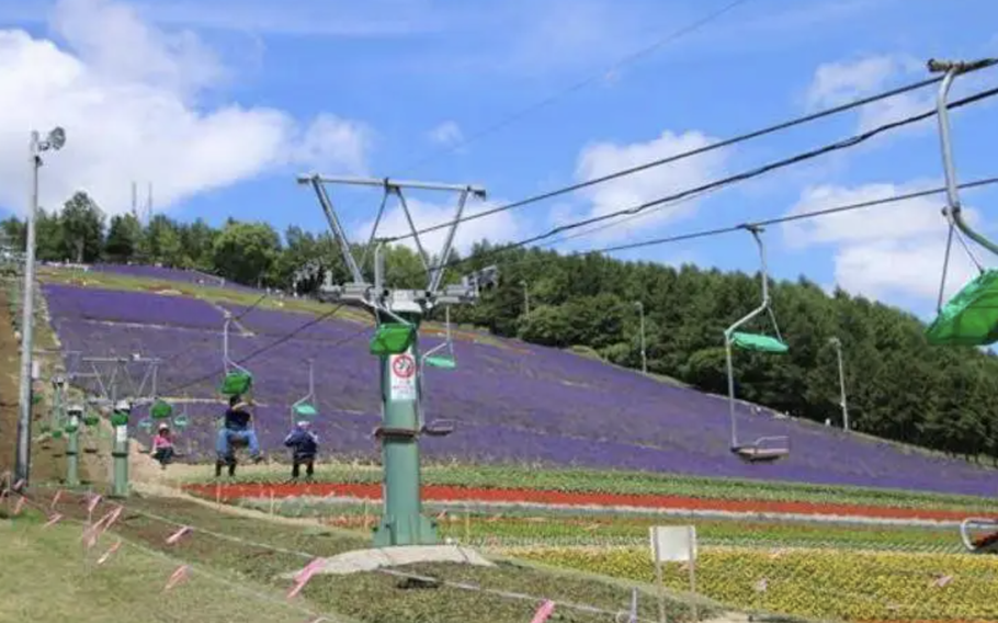 Hokuseiyama is a ski resort during the winter and during the summer the slope becomes a lavender field.