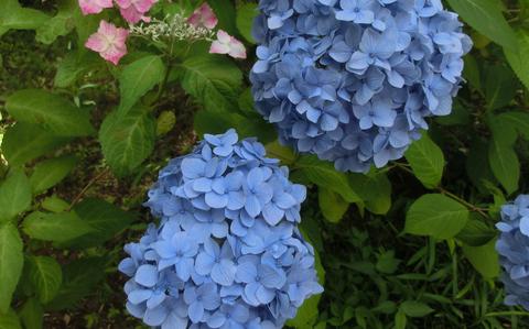 Photo Of 