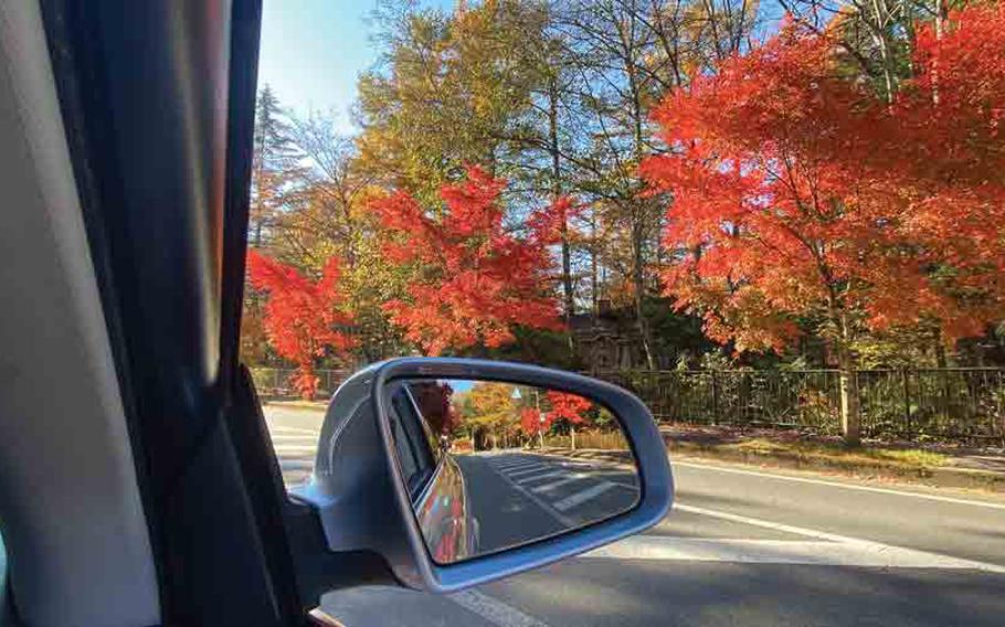 fall foliage view from car