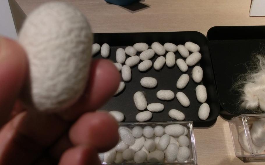 Ichiro picks up one of the cocoons.