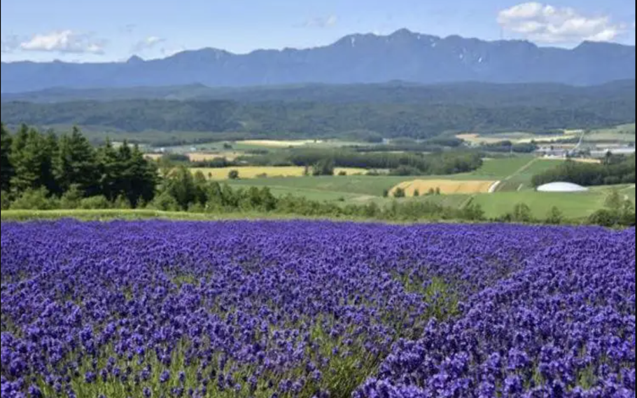 With a majestic rural landscape, Rokugo was the set location for the Japanese drama Kita No Kuni Kara.