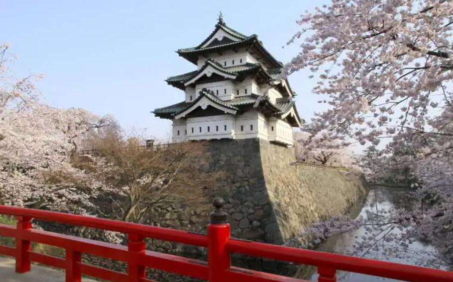 Tohoku sakura blossoms at Hirosaki Park in Aomori Prefecture