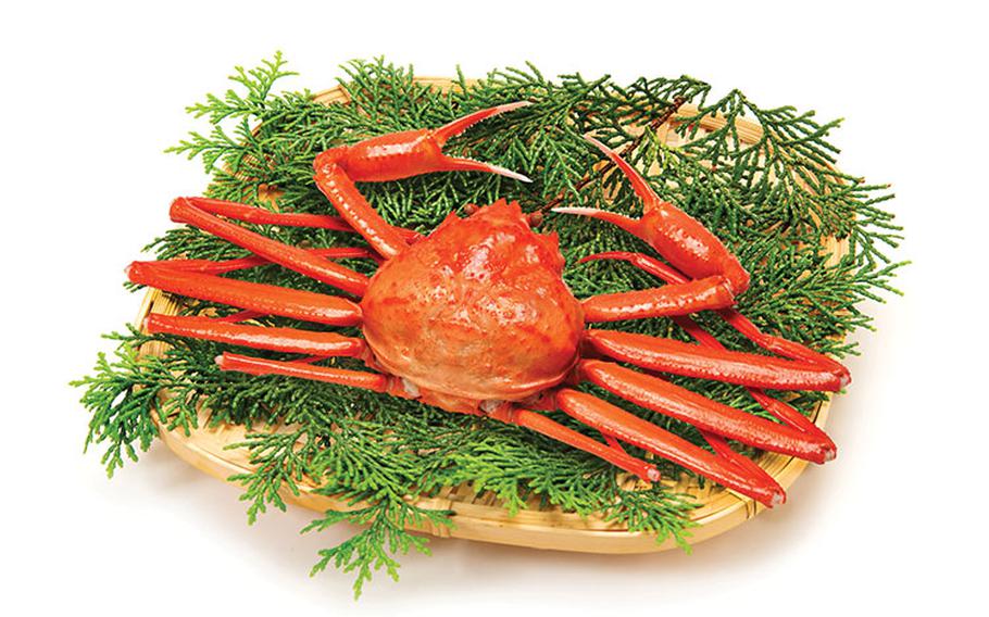 A red snow crab.