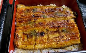 unadon (broiled eel on rice, served in a ceramic bowl)