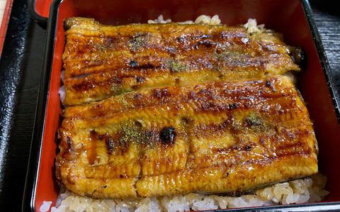 Photo Of unadon (broiled eel on rice, served in a ceramic bowl)
