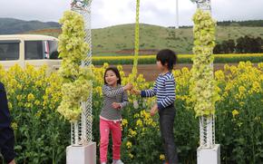 Two kids ringing a bell in the flower field.