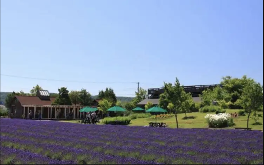 Next to the observation deck is the Lavare House offering gifts and light meals.