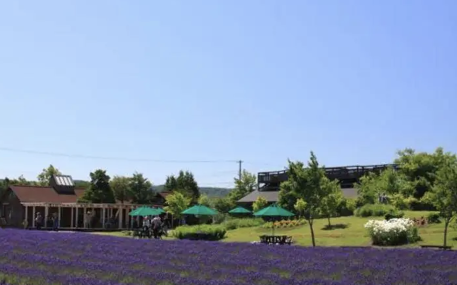 Next to the observation deck is the Lavare House offering gifts and light meals