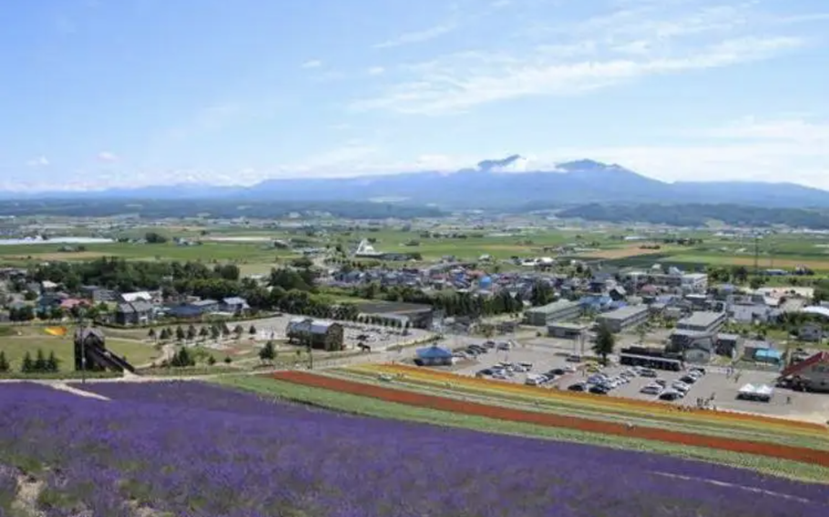 The view going down is also amazing! It is as if you are walking on air above a flower field.