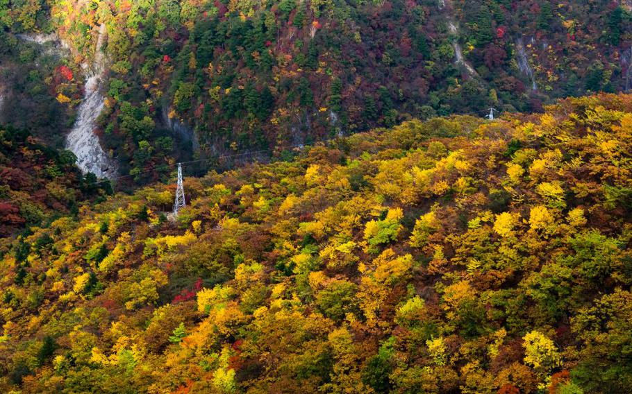 The colors are beautiful in late October.