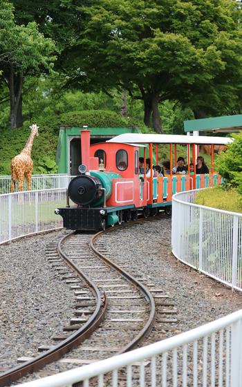 A train ride in the theme park.