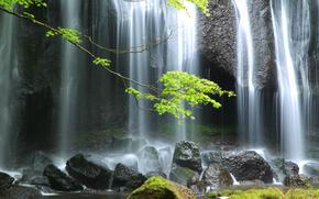 Tatsusawa-fudo falls in summer