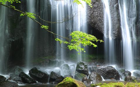 Photo Of Tatsusawa-fudo falls in summer