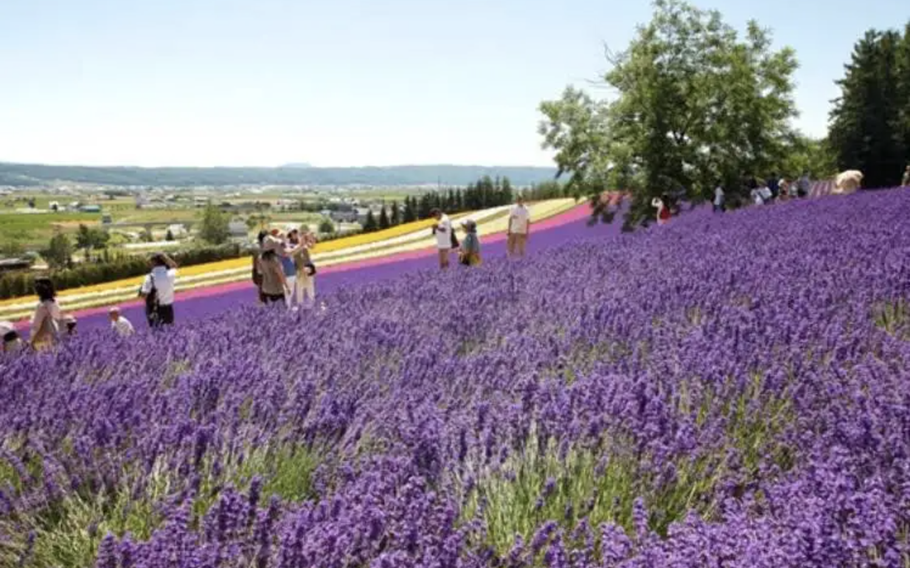 Many visitors during the peak season