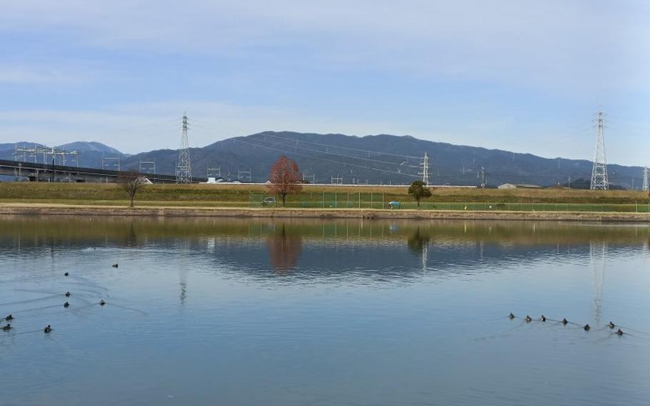 Some birds are on the Chikugo.