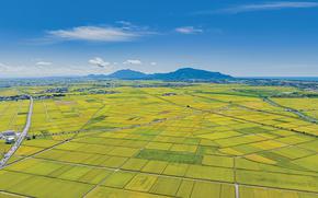 Birds-eye view of dry fields and paddies on the Echigo Plain in Niigata