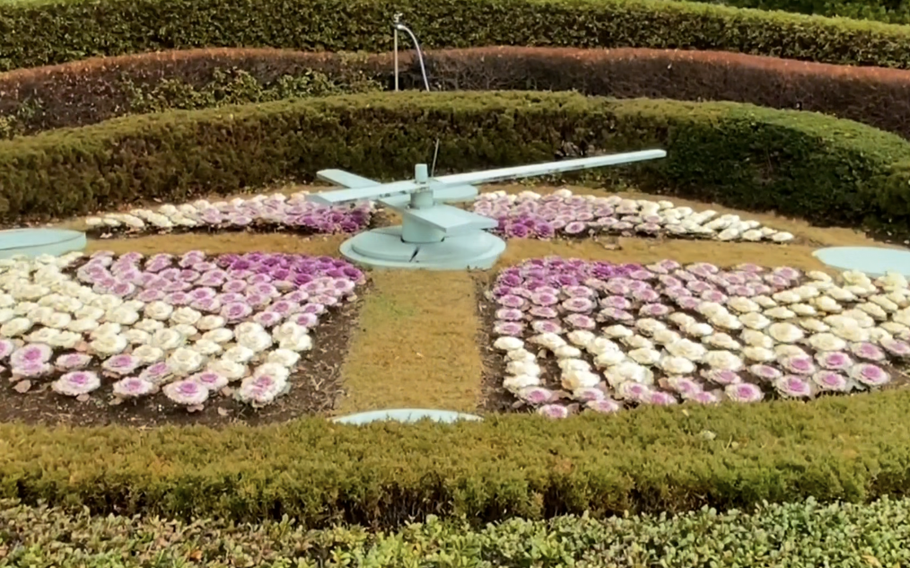 some flowers can be seen.