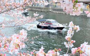 a cruiser sheared through the river.