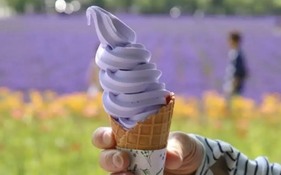Refreshing flavor & aroma! The lavender soft-serve ice cream (300 yen) is a must-taste.