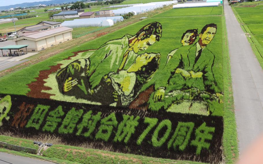 Another rice paddy art.