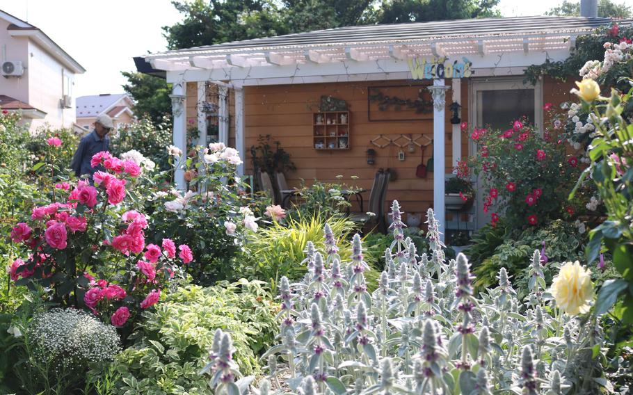 The garden and house can be seen in the daytime.