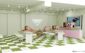 Prada Beauty Summer Picnic 2025. Some tables and chairs.