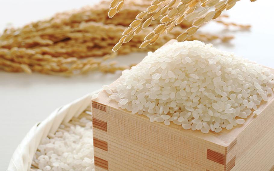 Rice and ears of rice.