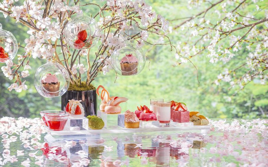 food such as sakura Mont Blanc, and a sakura swan mousse.