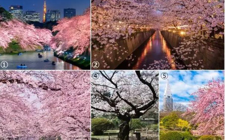 1: Chidorigafuchi Moat / 2: Meguro River / 3: Ueno Park / 4: Rikugien Garden / 5: Shinjuku Gyoen National Garden
